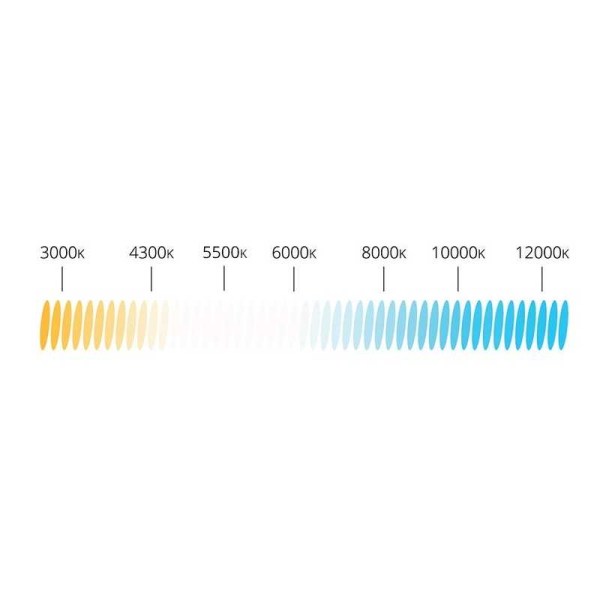 5903293019689.jpg2